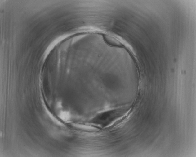 X0000085321239200703231941