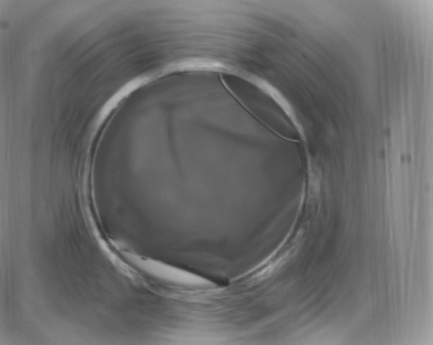X0000085321245200703231941