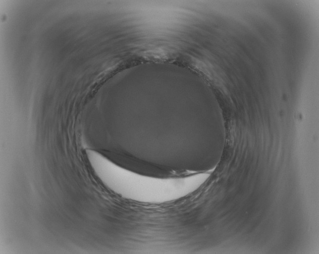 X0000085321297200703231939