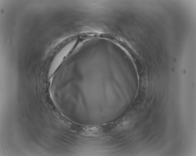 X0000085321303200703231939
