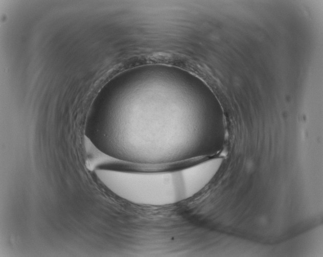 X0000085321345200703231939