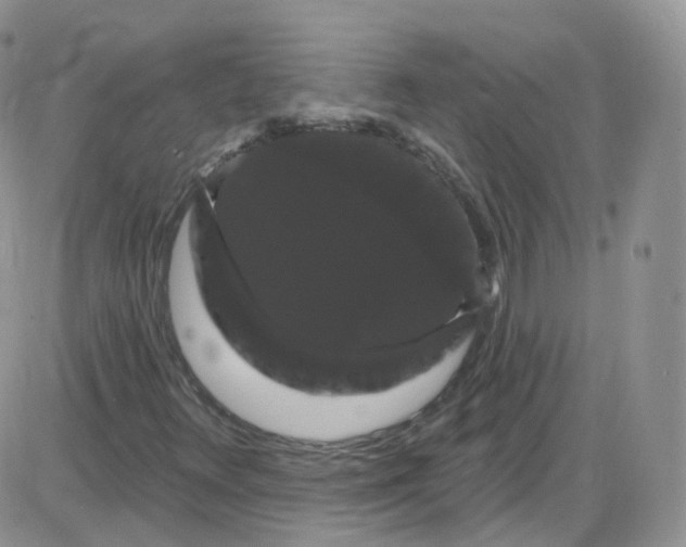X0000085321348200703231939