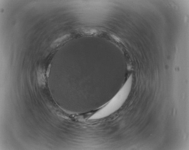 X0000085321394200703231937