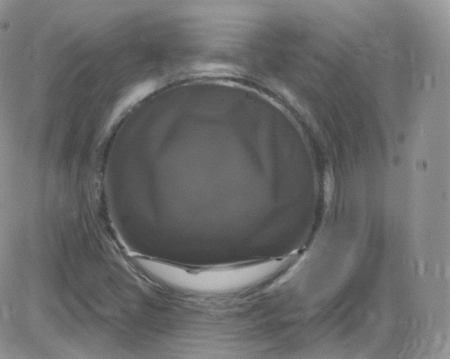 X0000085321405200703231937