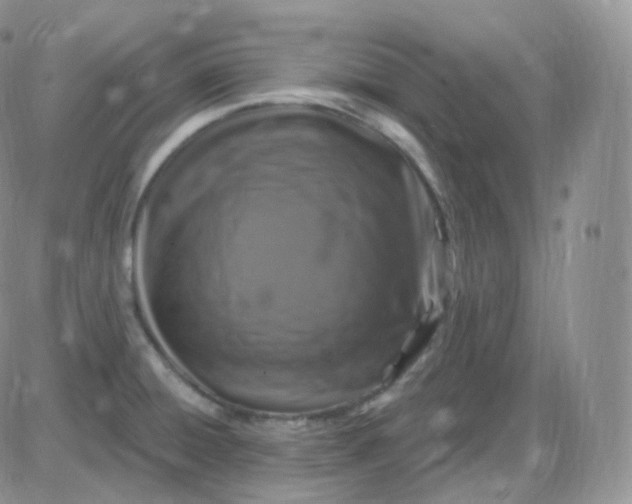 X0000085321428200703231938