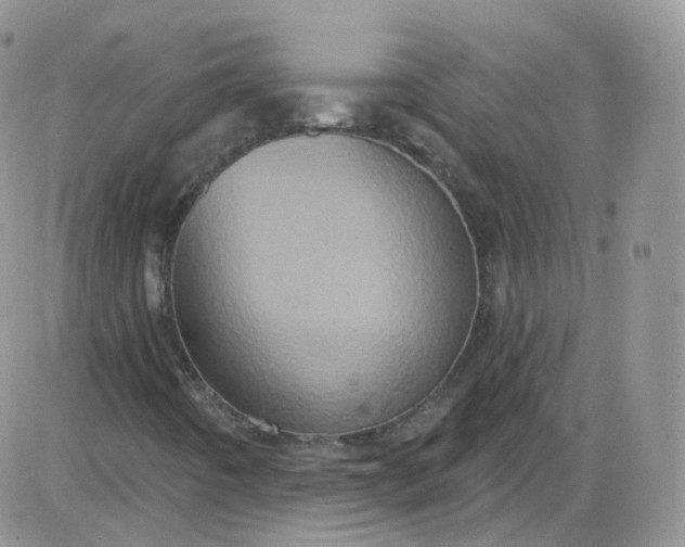 X0000085321442200703231937
