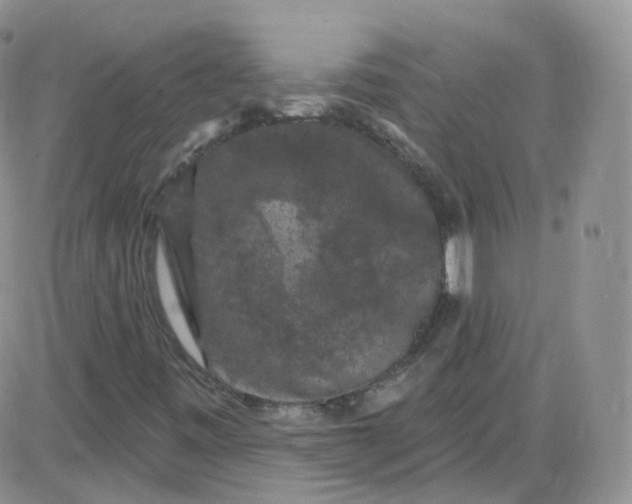 X0000085321443200703231937