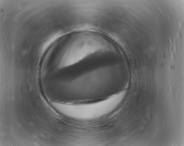 X0000085321463200703231937