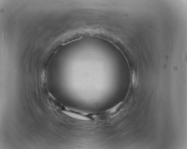 X0000085321492200703231936