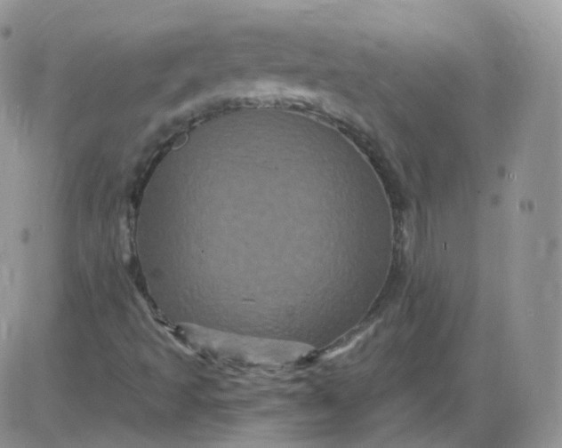 X0000085321493200703231936