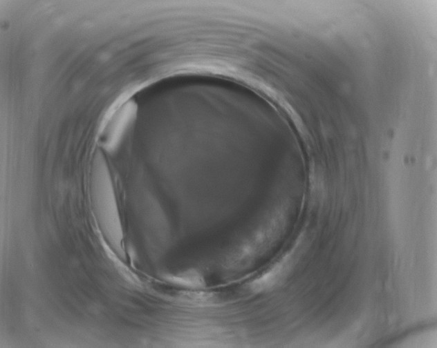X0000085321529200703231936