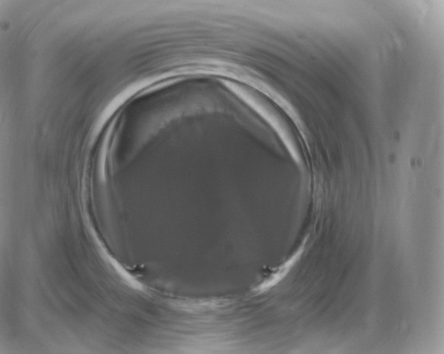X0000085321533200703231936