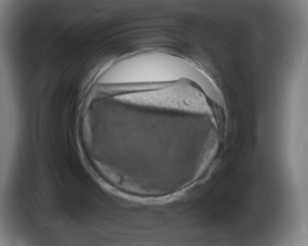 X0000085320001200703302054