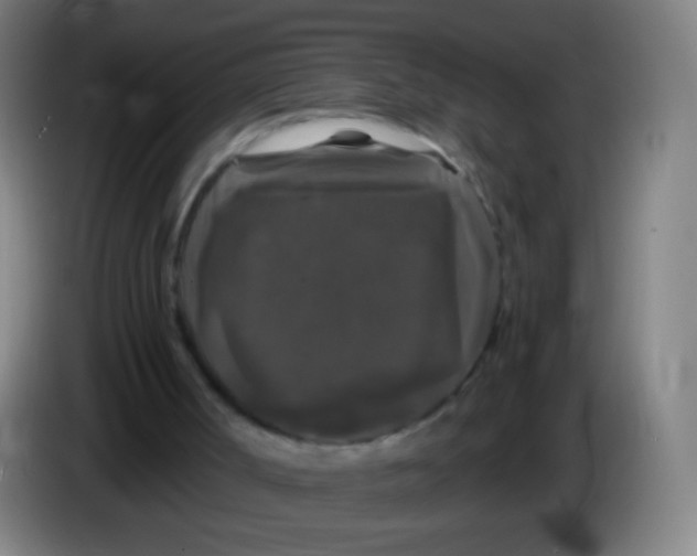 X0000085320002200703302054