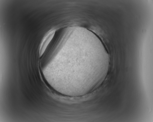 X0000085320003200703302054