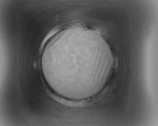 X0000085320004200703302054