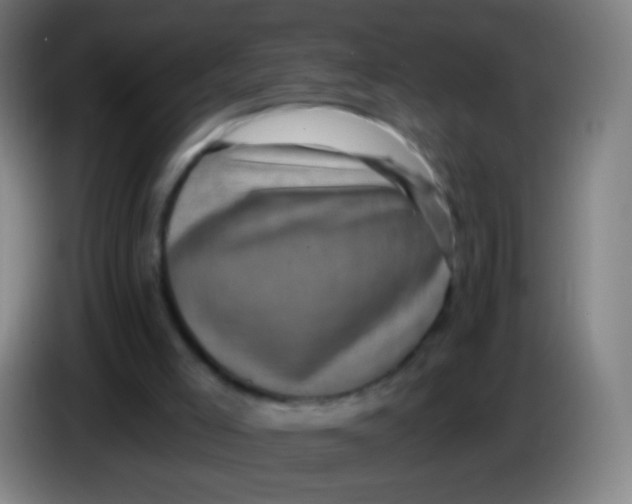 X0000085320005200703302054