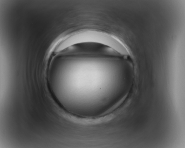 X0000085320007200703302054