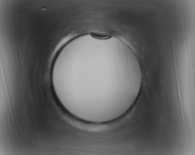 X0000085320008200703302054
