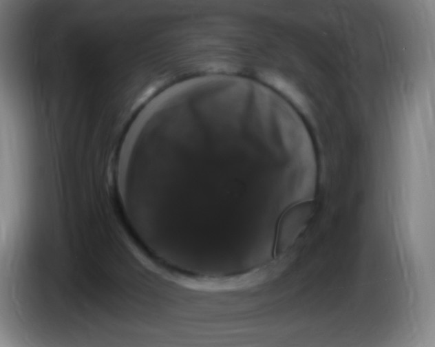 X0000085320009200703302054