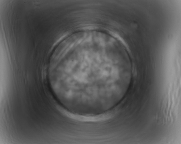 X0000085320010200703302054