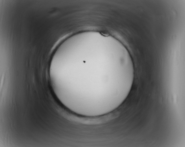 X0000085320011200703302054