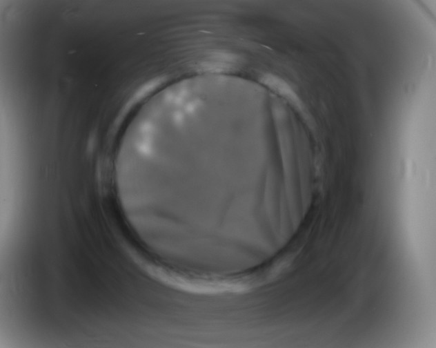 X0000085320012200703302054