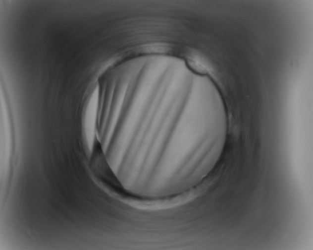 X0000085320013200703302054