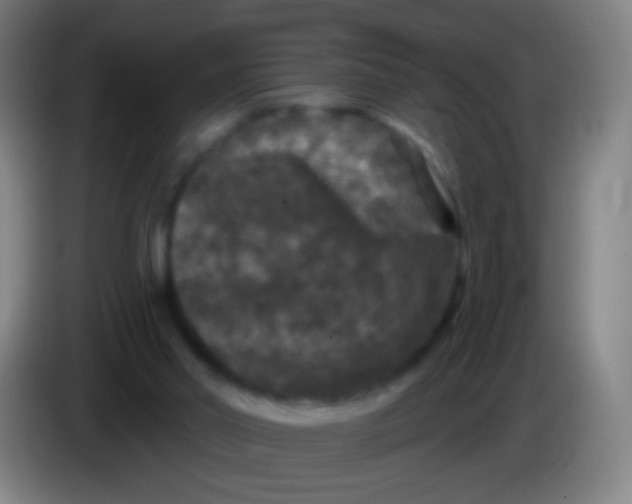 X0000085320014200703302054