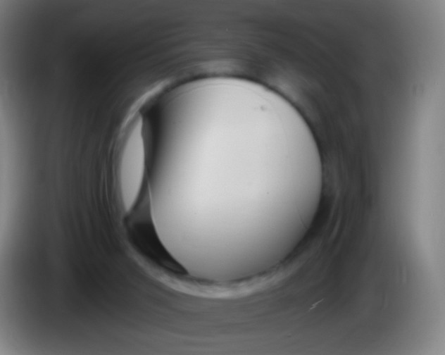 X0000085320015200703302054