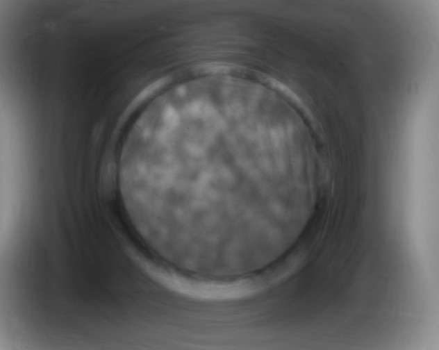 X0000085320016200703302054
