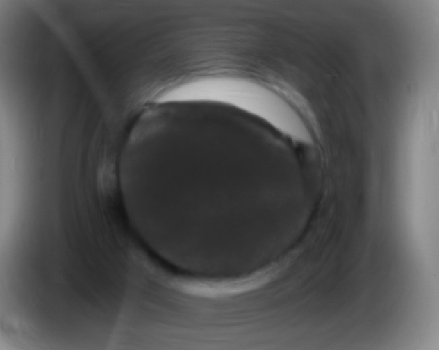 X0000085320017200703302054