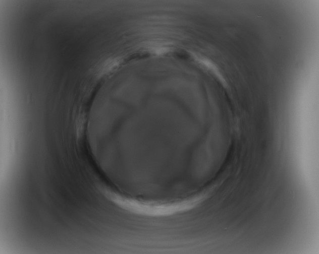 X0000085320018200703302054