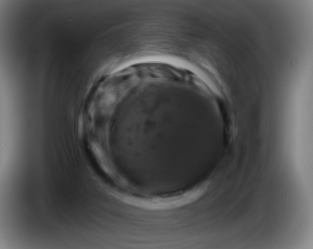 X0000085320019200703302054