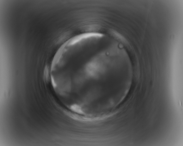 X0000085320022200703302054