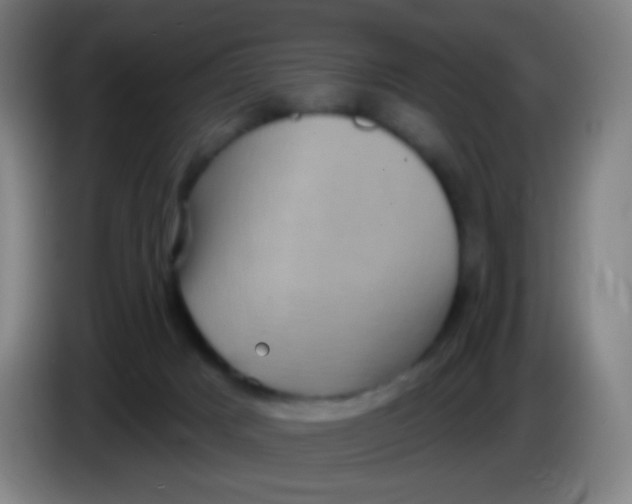 X0000085320025200703302054