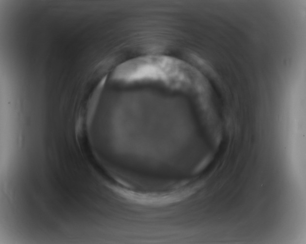 X0000085320026200703302054