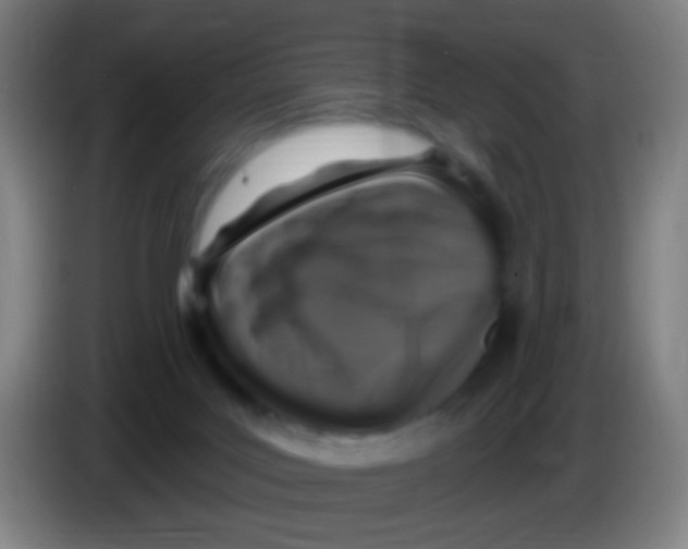 X0000085320027200703302054