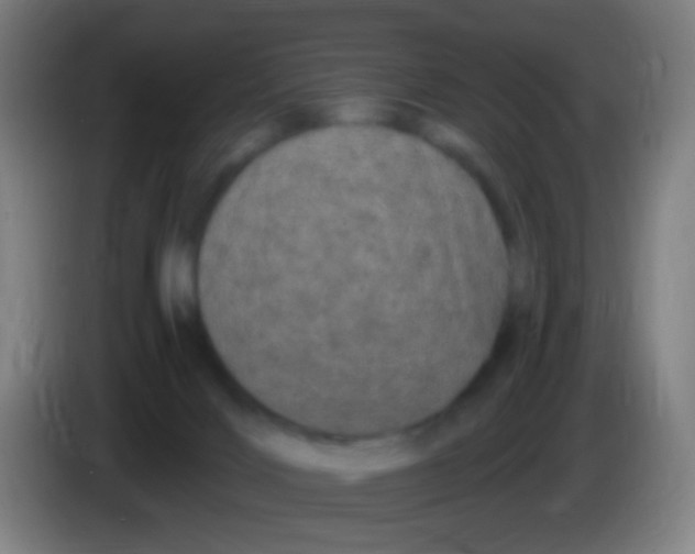 X0000085320028200703302054