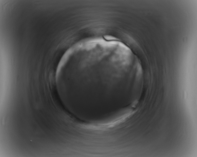 X0000085320029200703302054