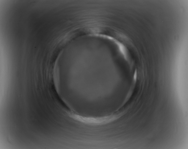 X0000085320030200703302054