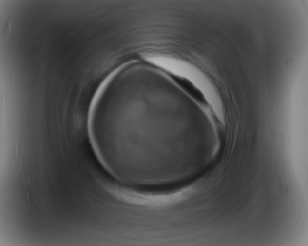 X0000085320031200703302054