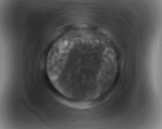 X0000085320032200703302054