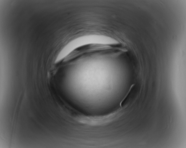 X0000085320033200703302054
