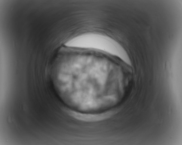 X0000085320034200703302054