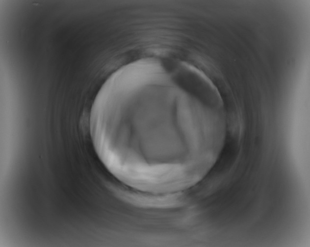 X0000085320036200703302054