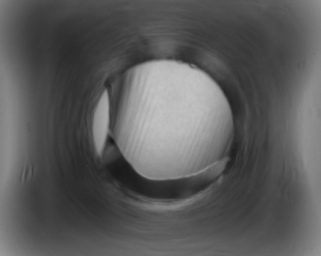 X0000085320037200703302054