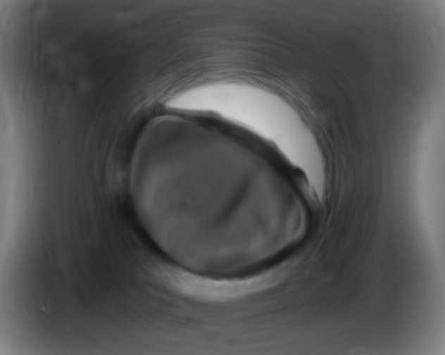 X0000085320039200703302054