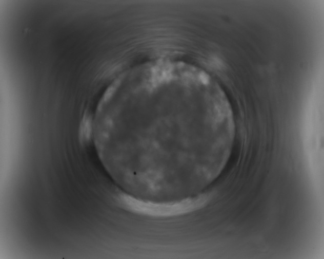 X0000085320042200703302054