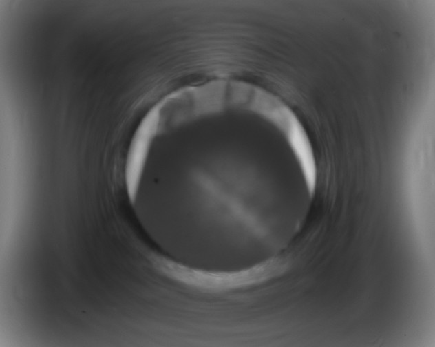 X0000085320043200703302054